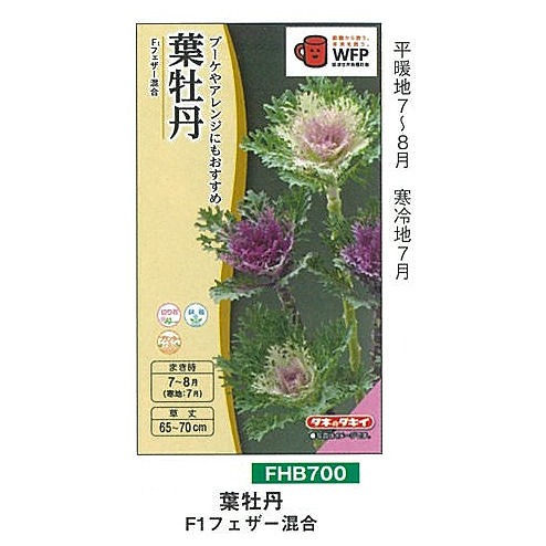 シバタ　プロテア　7種苗 F1 葉牡丹 フェザー混合〔FHB700〕 | ハ行で始まる草花 | 野菜・草花の