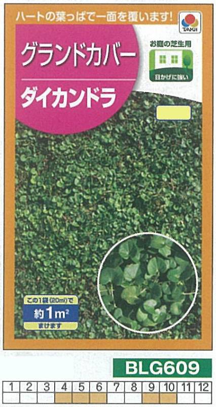 芝草・牧草】グランドカバー ダイカンドラ[BLG609] | 芝草・牧草