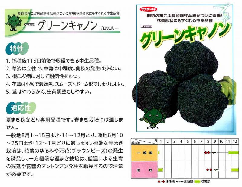 ブロッコリー】グリーンキャノン〔サカタ交配〕 | ブロッコリー | 野菜