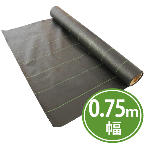 ����󥷡��ȡ����𥷡��ȡ�0.75������100����������ڥ᡼����ľ���ۡڸĿ��������Բġ�