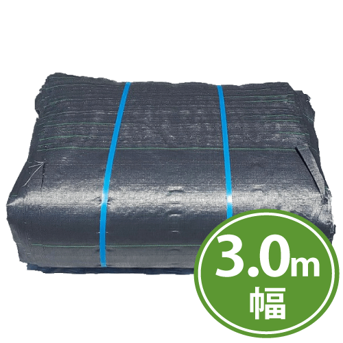 ����󥷡��ȡ����𥷡��ȡˣ�������100�������ߡڥ᡼����ľ���ۡڸĿ��������Բġ�