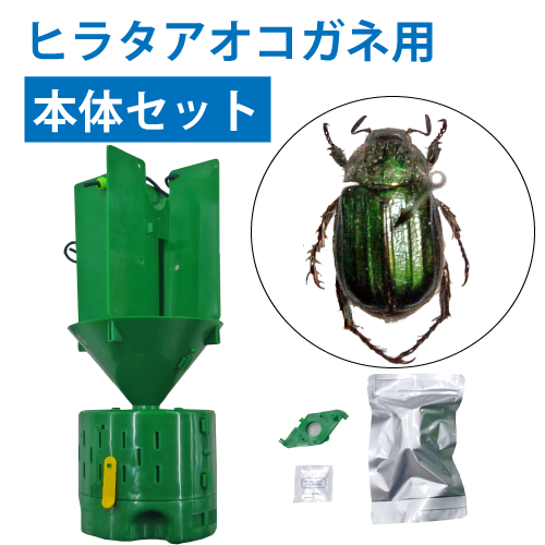 ニューウインズパック本体セット（ヒラタアオコガネ） ブルーベリー