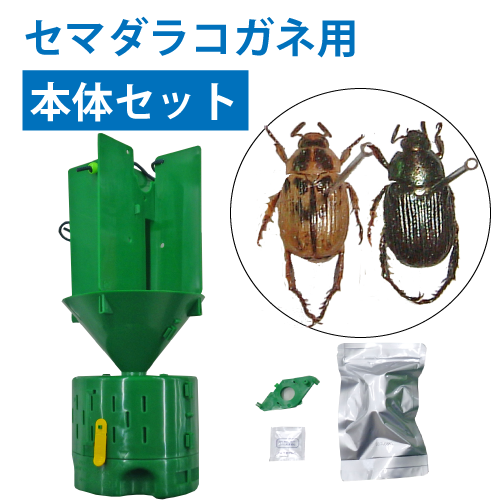 �㥻�ޥ��饳�����ѡ������ƴ��Ͷ���ޥ��åȡ��˥塼�����󥺥ѥå��å����ͥॷ�ե������ȥ�å�