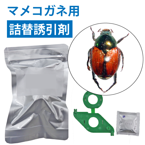 ��ޥᥳ�����ѡ������Ͷ���ޡ��˥塼�����󥺥ѥå��å����ͥॷ�ե������ȥ�å�