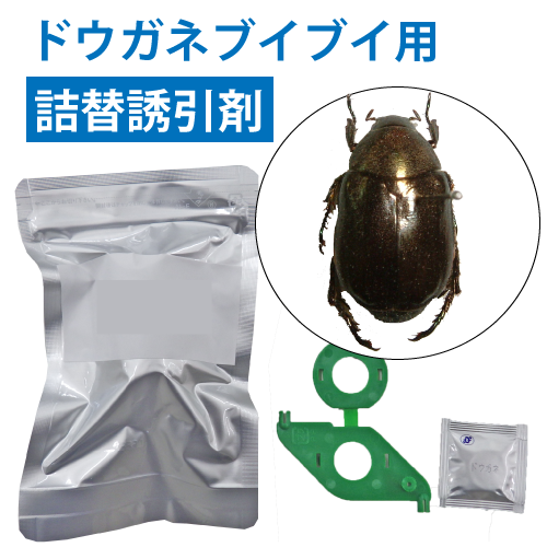 ニューウインズパック詰替え用誘引剤（ドウガネブイブイ