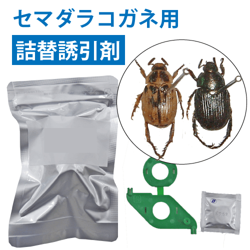 黄金虫 ニューウインズパック ブルーベリー資材の通販｜オーシャン貿易