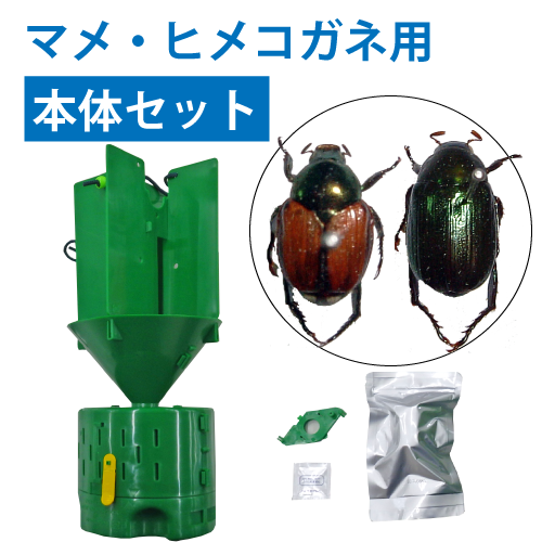 ニューウインズパック本体セット（マメコガネ） ブルーベリー資材の