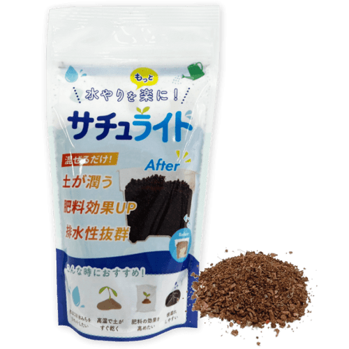 レガシー【NH系ブルーベリー】2年生苗相当
