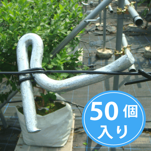 磻䡼ȥ졼ʡ ףҡ50ˡ磻䡼ĥĴˡ