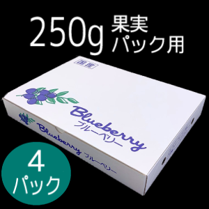 ブルーベリー化粧箱250gPx4個 ブルーベリー資材の通販｜オーシャン貿易