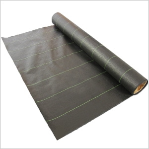 1_000000000249.jpg?1678209907