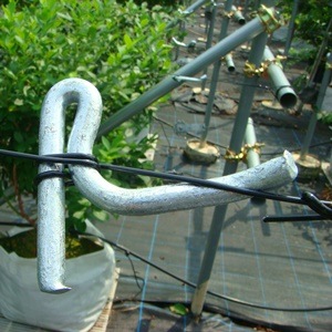 �磻�䡼���ȥ졼�ʡ� �����ףҡ�����50������ˡ��磻�䡼ĥ���Ĵ��ˡ���