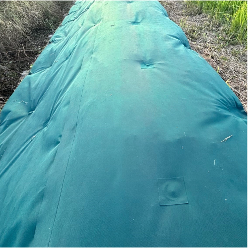 SGV���𥷡��ȡ�1������50�����ڥ᡼����ľ���ۡڸĿ��������Բġ�