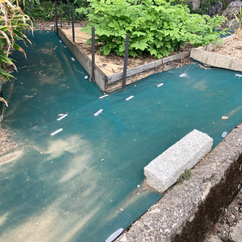 SGV���𥷡��ȡ�2������50�����ڥ᡼����ľ���ۡڸĿ��������Բġ�