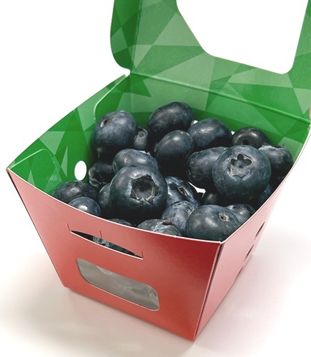 ��٥�85�� �ʹ�/�֡ˡ�600������ڥ᡼����ľ���ۡڸĿ��������Բġ�