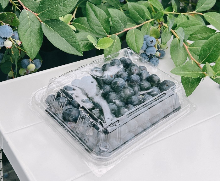 �ڿ��� 500g�̼��ѥѥå�OSA 100����/Ȣ | OSA20-16(53)