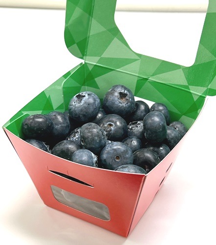 ��٥�90�� �ʹ�/�֡ˡ�600������ �ڥ᡼����ľ���ۡڸĿ��������Բġ�