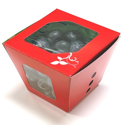 ��٥�90�� �ʹ�/�֡ˡ�600������ �ڥ᡼����ľ���ۡڸĿ��������Բġ�