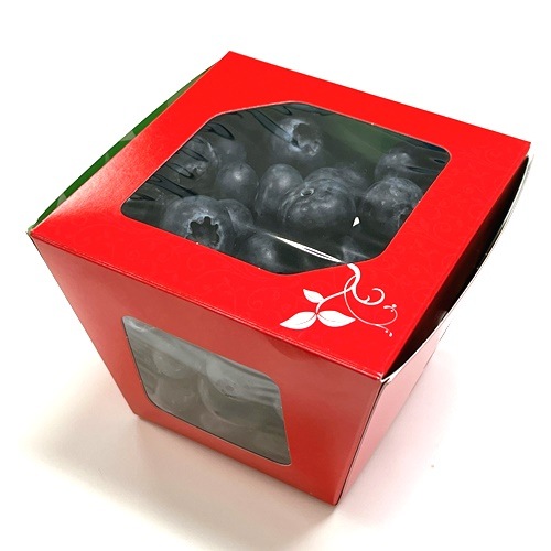 ��٥�95�� �ʹ�/�֡ˡ�600������ڥ᡼����ľ���ۡڸĿ��������Բġ�