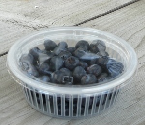 150���Ѥ������֥롼�٥꡼���åס��ƴ��ʿ�ե��Υ��åȡ�1,000��ʬ