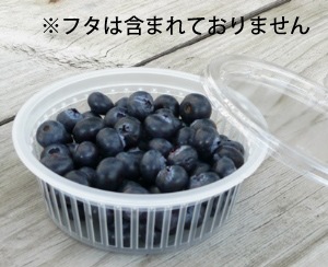 150���Ѥ������֥롼�٥꡼���åס��ƴ�Τߡ�1,000����