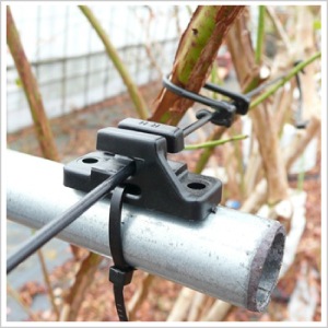 �磻�䡼����åס�100������ˡ����磻�䡼�Ȼ���θ���ˡ�