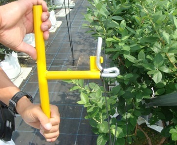 �磻�䡼���ȥ졼�ʡ� �����ףҡ�����50������ˡ��磻�䡼ĥ���Ĵ��ˡ���