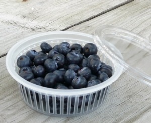 150���Ѥ������֥롼�٥꡼���åס��ƴ��ʿ�ե��Υ��åȡ�1,000��ʬ