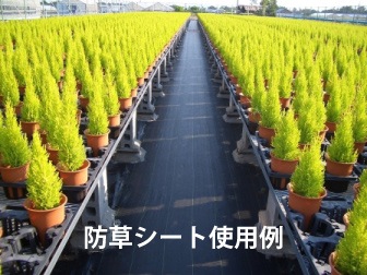 ����󥷡��ȡ����𥷡��ȡˣ�������100�������ߡڥ᡼����ľ���ۡڸĿ��������Բġ�