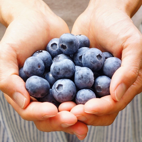 ��3ǯ���Ģ䥹�ץ�󥰥ϥ���SH�ϥ֥롼�٥꡼��