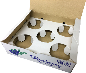 ��100�礫�����֥롼�٥꡼���åס١�5���åײ���Ȣ50��/Ȣ��