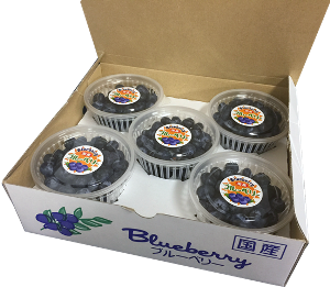 ��100�礫�����֥롼�٥꡼���åס١�5���åײ���Ȣ50��/Ȣ��