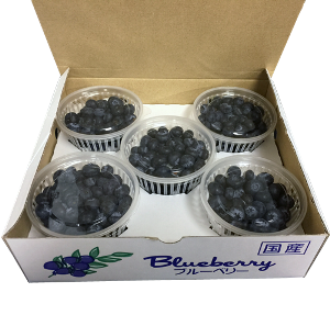 ��100�礫�����֥롼�٥꡼���åס١�5���åײ���Ȣ50��/Ȣ��