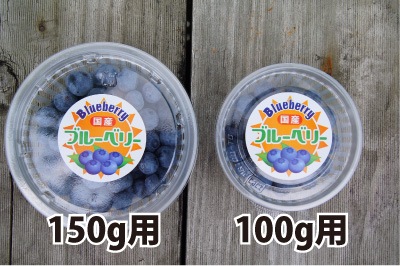 150���Ѥ������֥롼�٥꡼���åס��ƴ��ʿ�ե��Υ��åȡ�1,000��ʬ