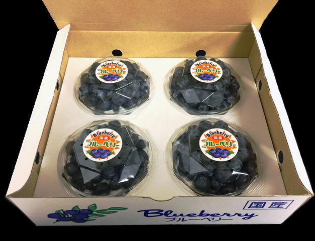 ��100������䥫�åȷ��ѥå��١�4�ѥå�����Ȣ50��/Ȣ