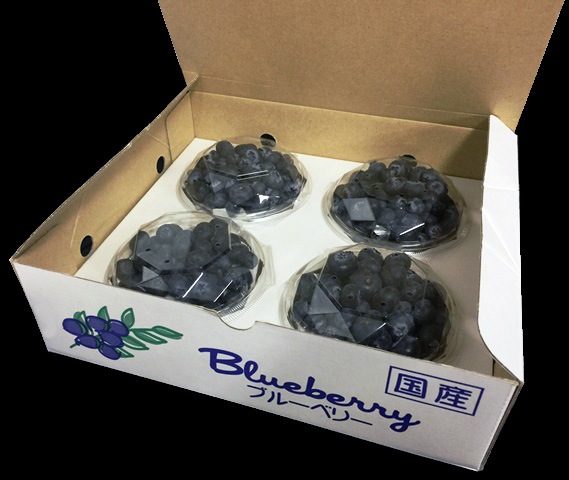 ��100������䥫�åȷ��ѥå��١�4�ѥå�����Ȣ50��/Ȣ