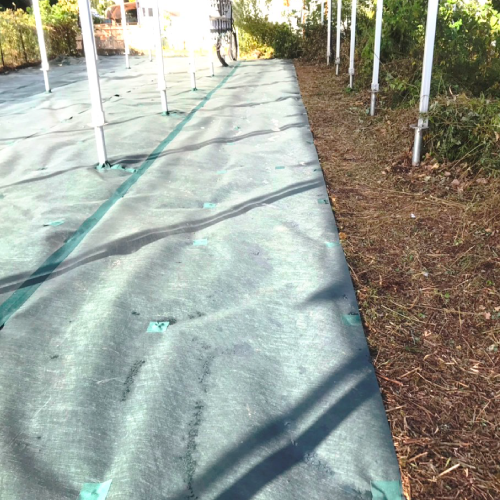 �������ɥ��꡼��240��1������30�����ڥ᡼����ľ���ۡڸĿ��������Բġ�