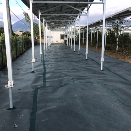 �������ɥ��꡼��240��2������30�����ڥ᡼����ľ���ۡڸĿ��������Բġ�