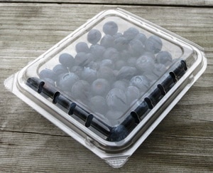 1_000000000498.jpg?1678209907