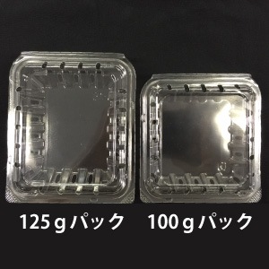 125���ѥ֥롼�٥꡼���ѥѥå� 800����/Ȣ��2025ǯ���ä����佪λ��