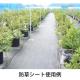 ����󥷡��ȡ����𥷡��ȡˣ�������100�������ߡڥ᡼����ľ���ۡڸĿ��������Բġ�
