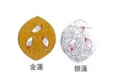 ڡ10ꡡϡϡ
