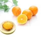���󥾥������Υޥɥ졼�̡ʥޡ��ޥ졼�ɡ�