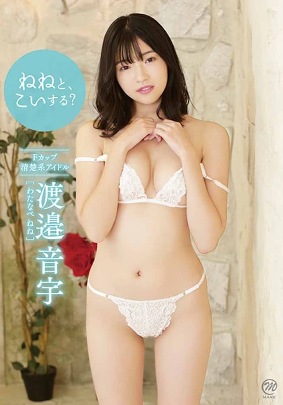 �ͤͤȡ��������롩�������