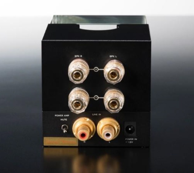 CarotOne  ERNESTOLO 50k EX EVO  ץᥤ󥢥