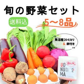 北海道用　有機野菜セット１０品＋おまけ　玄米 5kg 楽天市場】＜最短出荷＞米 10kg 6年産 秋田県産 ときわGreen