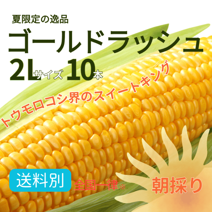 送料込 朝採り】 ゴールドラッシュ とうもろこし 新潟産 2L 10本 糖度