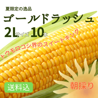 送料込 朝採り】 ゴールドラッシュ とうもろこし 新潟産 2L 10本 糖度