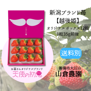 越後姫【天使の初恋】大粒苺 1箱12粒