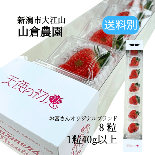いちごLA MER新品未開封!デラックスサンプルセット 新潟いちご越後姫【天使の初恋】大粒苺 小分け8粒